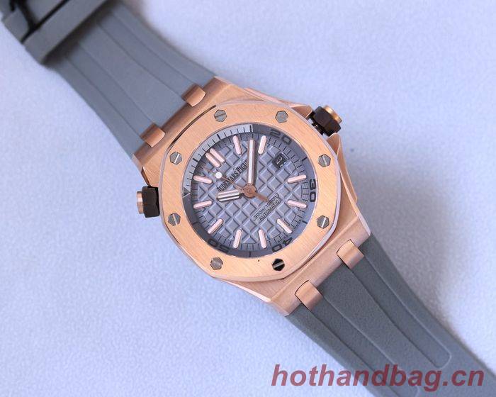 Audemars Piguet Watch APW00064-1